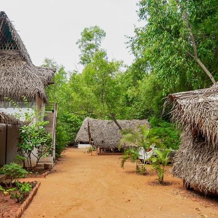 Nebula Nest Cafe & Hostel Оровілль Екстер'єр фото